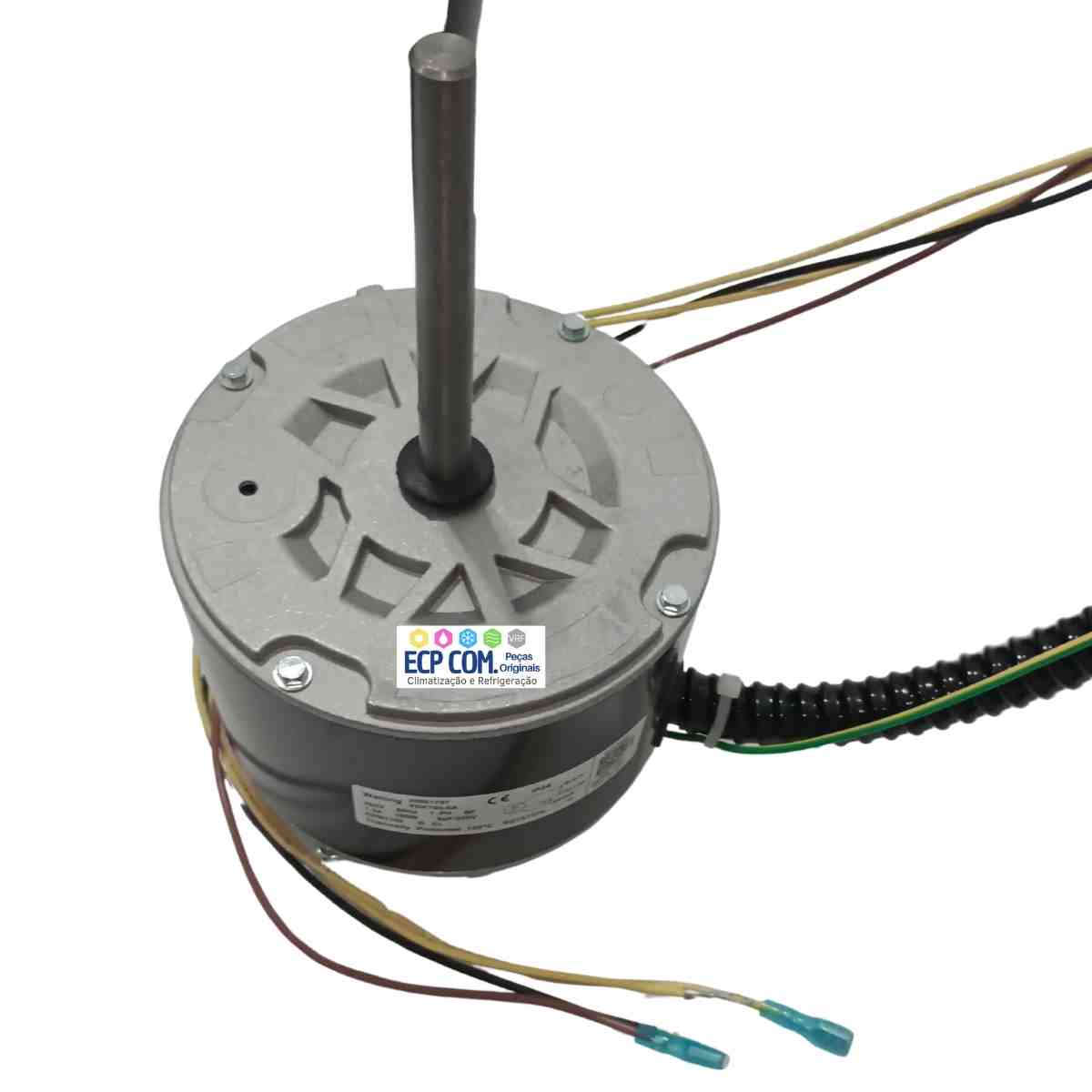 MOTOR ELETRICO AC 1/4CV 220V/60Hz - Imagem 2